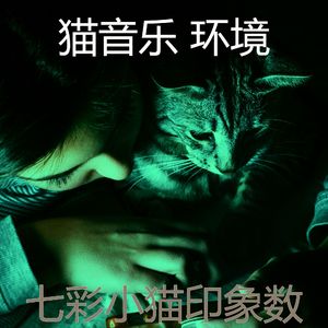 柔和的小猫时刻