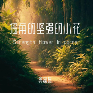 坚强的墙角的小花