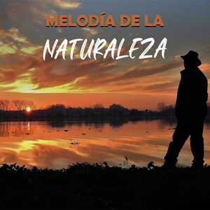 Melodía De La Naturaleza