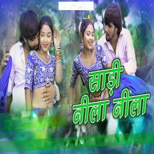 साड़ी नीला नीला