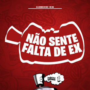 Não Sente Falta de Ex