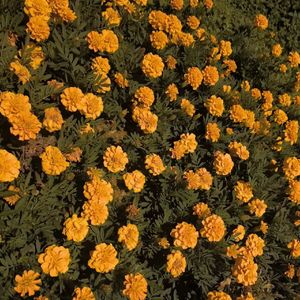 Cut 2 （Atlanta hiphop type beat）