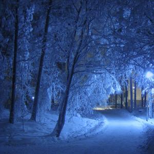 The Moon On The River