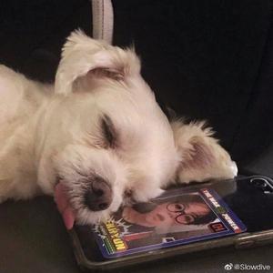 ZYPZ (prod. by FaunmUGOAT MUSIC)