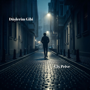 Düşlerim Gibi