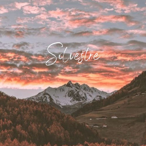 Silvestre (Instrumental Version)