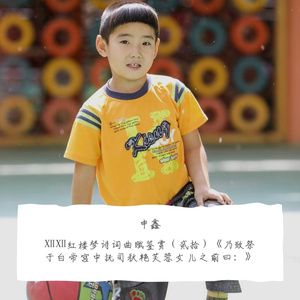 ⅩⅩ红楼梦诗词曲赋鉴赏（贰拾）《乃致祭于白帝宫中抚司秋艳芙蓉女儿之前曰：》