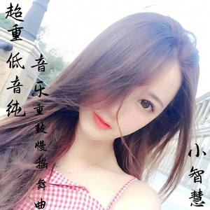 电子琴 纯音乐 (Dj版)