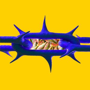 海鲜市场(Feat.殴毙OBecruel)