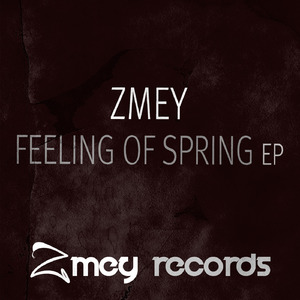 Feeling Of Spring (Platinum Monkey Remix)