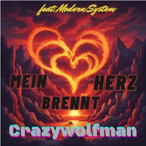 Lauf um dein Leben (feat. Modern System)