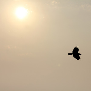 Небо на дно