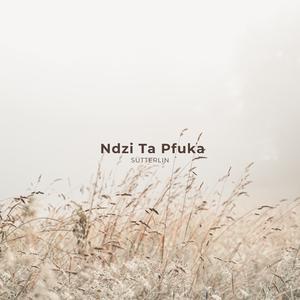 Ndzi Ta Pfuka