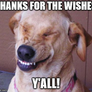 Pumped Up Kicks (slowed)