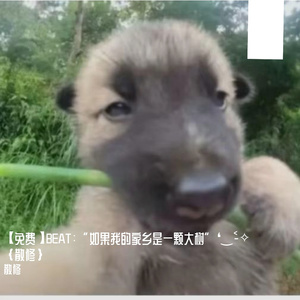 【免费】BEAT：“如果我的家乡是一颗大树”❛‿˂̵✧ ｛散修｝