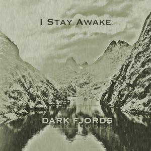 I Stay Awake