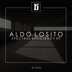 Avido (Original Mix)