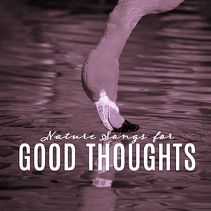 Good Thoughts