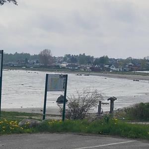 Parasoller og bikini.