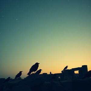 Pickin' Off the Edge of the World