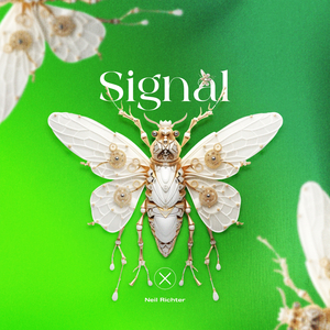 Signal