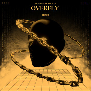 Overfly (Extended Mix)