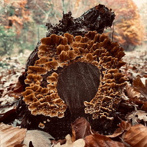 ¿A qué estamos jugando?