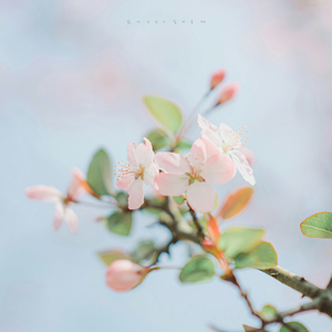 삶에 지치고 힘겨울 때