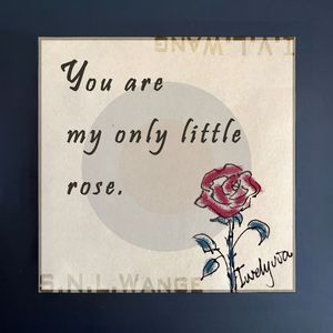 她送了她60朵玫瑰