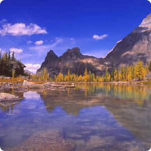 Love’s Tranquility