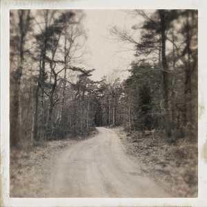 Huset