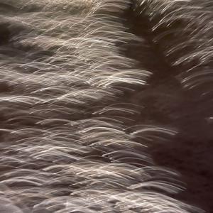 Este es mi cuerpo Soundtrack for the Video