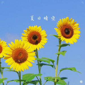 【FREE】夏日晴空（Hyperpop Type Beat）