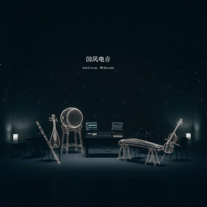 琵琶夜驰