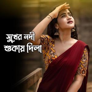 সুখের নদী শুকায় দিলি
