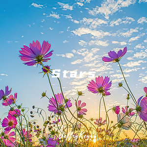 【FREE】 超好听R&B Type Beat "Stars" 2022