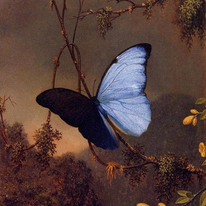 爱你的症状有3000