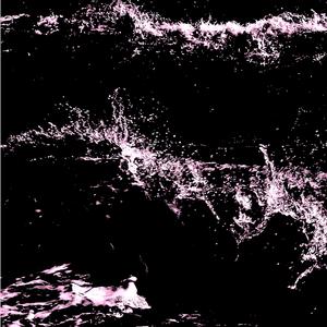 Surf (feat. Maxwell Acree)