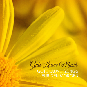 Harmonischer Energiefluss