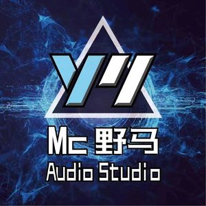 老男孩（DJ野马Proghouse Rmx 2023）