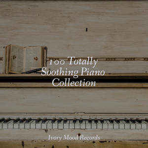 Soothing Stillness Surfaces