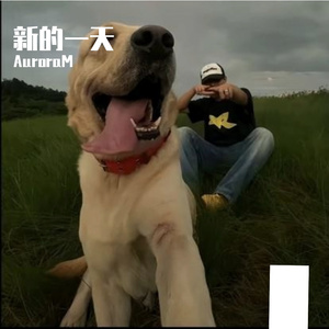 激情荡漾在午夜