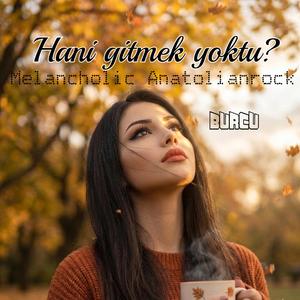 Hani gitmek yoktu?