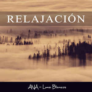 Borrado de Insomnios