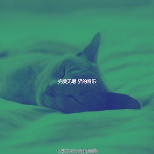 微妙的放松的猫心情