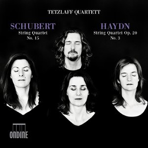 String Quartet No. 15 in G Major, Op. 161, D. 887:I. Allegro molto moderato