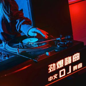 生而平凡(DJ版)