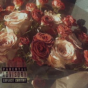 爱意随风起让人意难平