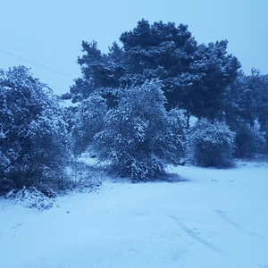 DÖNECEKSEN DÖN GEL ARTIK