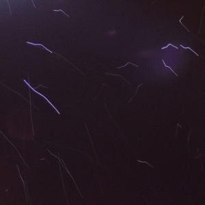 it might take forever